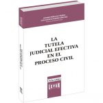 La tutela judicial efectiva en el proceso civil
