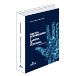 Delito informático y cadena de custodia