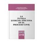 La tutela judicial efectiva en el proceso civil - Imagen 2