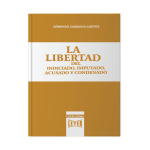 La libertad del indiciado, imputado, acusado y condenado - Imagen 2