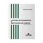 Captura en flagrancia e imputación de cargos - Imagen 2