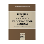 Estudios de Derecho Procesal Civil General - Imagen 2