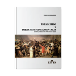 Preámbulo y derechos fundamentales - Imagen 2