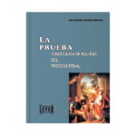 La prueba como causa de nulidad del proceso penal - Imagen 2