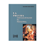 La prueba como causa de nulidad del proceso penal - Imagen 2