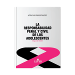 La responsabilidad penal y civil de los adolescentes - Imagen 2