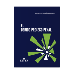 El debido proceso penal - Imagen 2