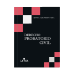 Derecho probatorio civil - Imagen 2
