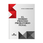 El debido proceso probatorio penal - Imagen 2